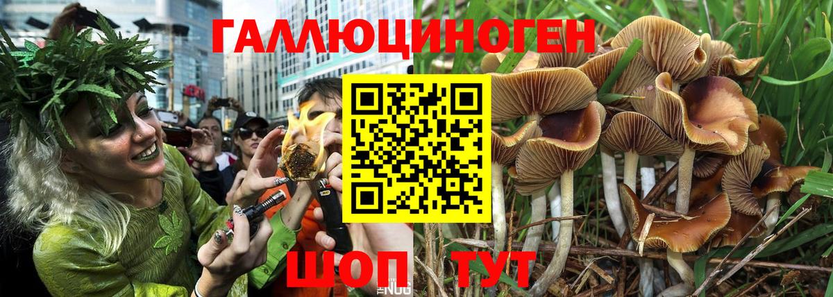 Дмитров  Галлюциногенные грибы ЛСД  Вход с VPN 